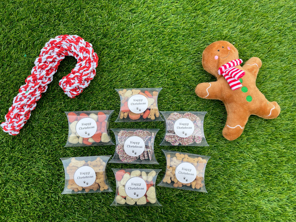 Dog toys and treats on a grassy surface