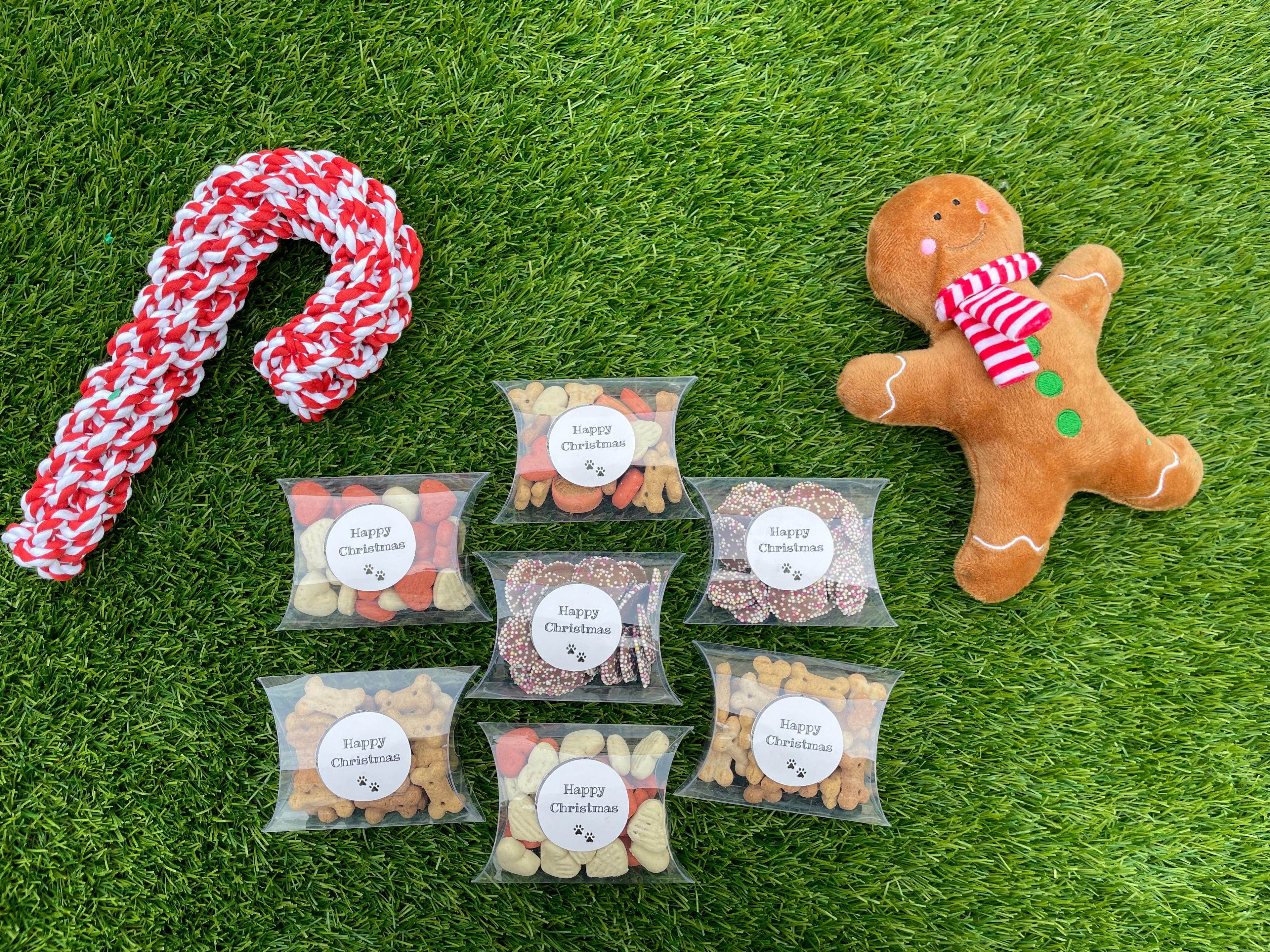 Dog toys and treats on a grassy surface