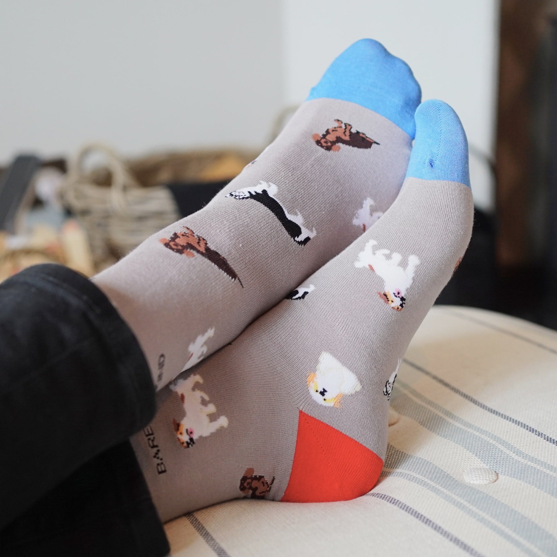 Gray socks with animal patterns and colorful toes worn by a person sitting on a couch.