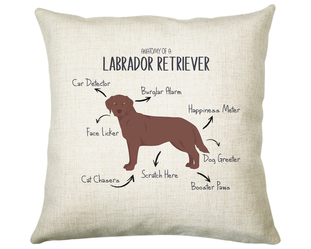Anatomy of a Labrador Retriever (Brown / Chocolate) Funny Gift For Him Or Her Cushion Pillow Bedroom Decor STC112