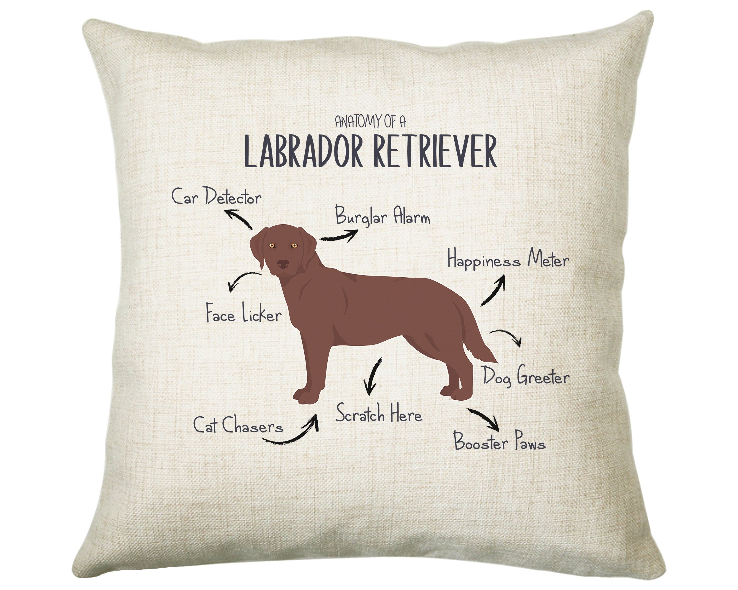 Anatomy of a Labrador Retriever (Brown / Chocolate) Funny Gift For Him Or Her Cushion Pillow Bedroom Decor STC112