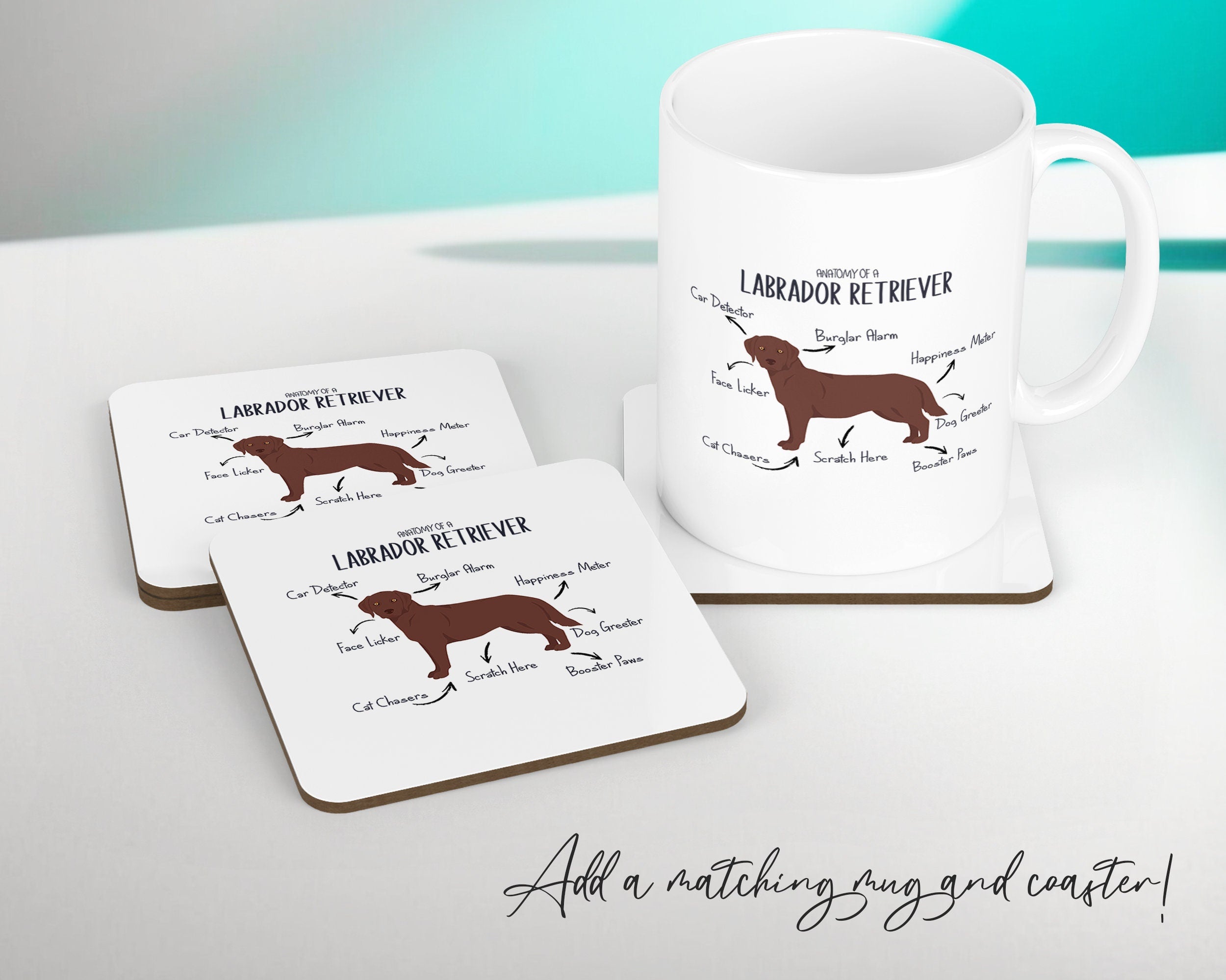 Anatomy of a Labrador Retriever (Brown / Chocolate) Funny Gift For Him Or Her Cushion Pillow Bedroom Decor STC112