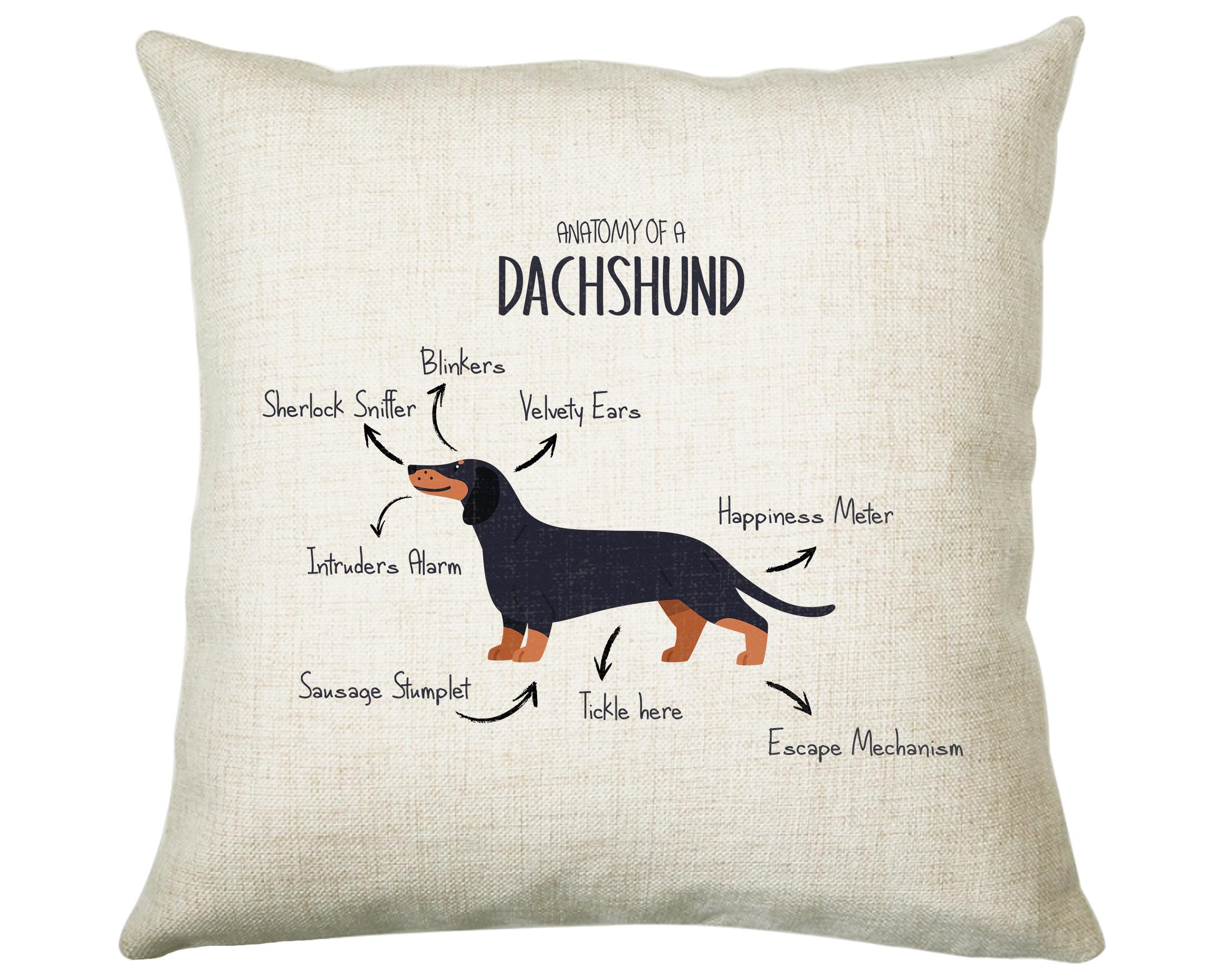 Anatomy of a Dachshund Funny Gift For Him Or Her Cushion Pillow Bedroom Decor CS416
