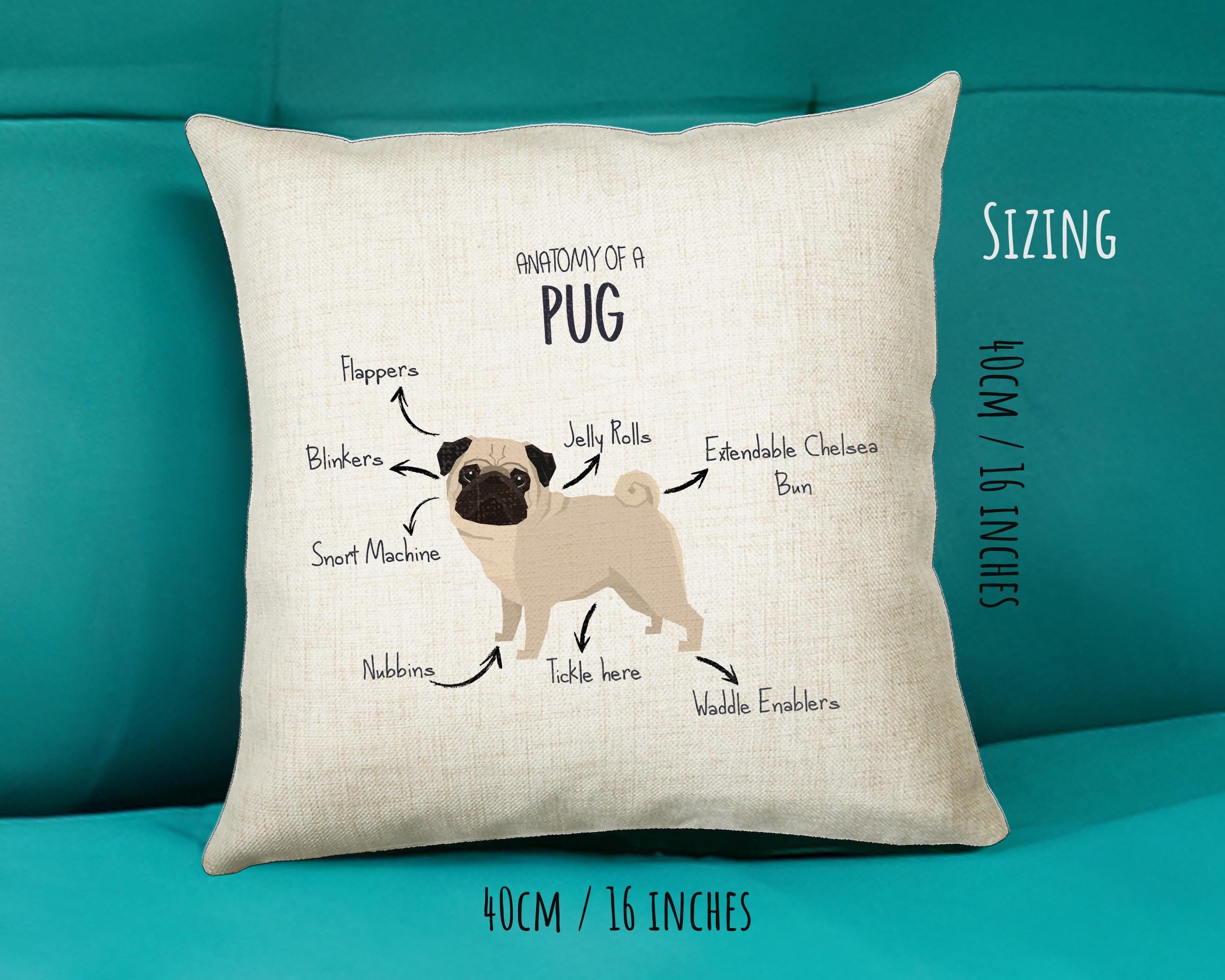 Anatomy of a Pug Funny Gift For Him Or Her Cushion Pillow Bedroom Decor CS409