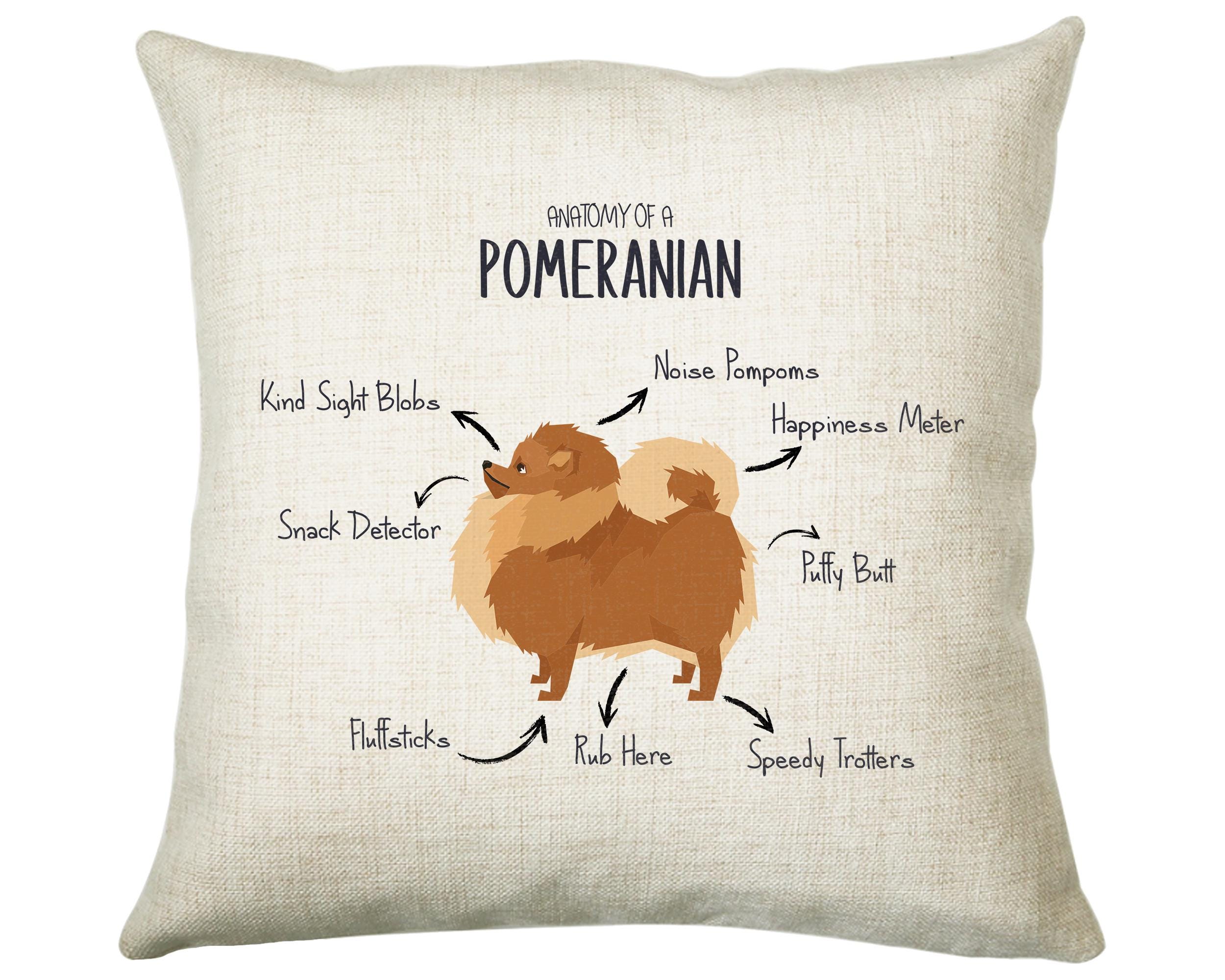 Anatomy of a Pomeranian Funny Gift For Him Or Her Cushion Pillow Bedroom Decor CS407