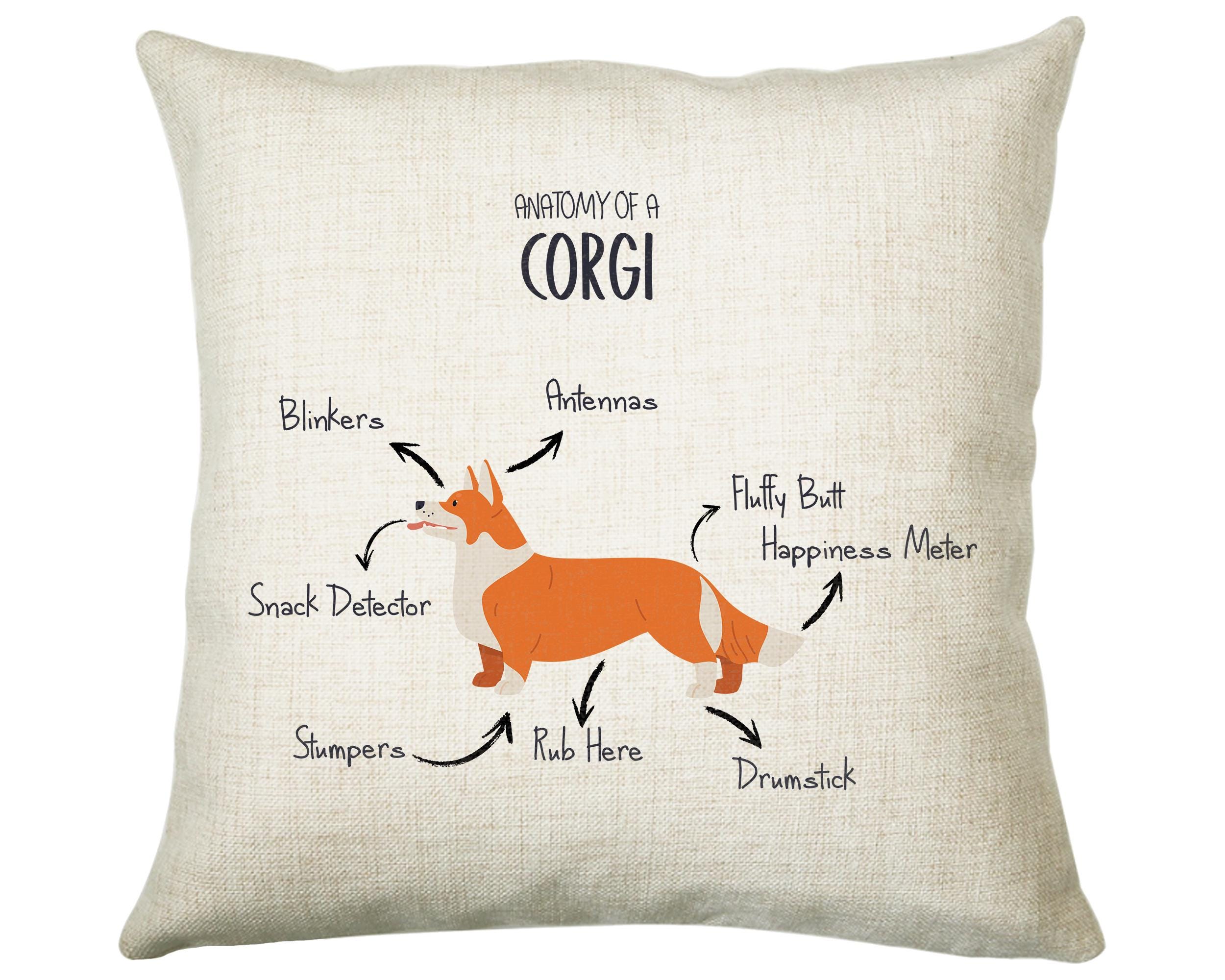 Anatomy of a Corgi Funny Gift For Him Or Her Cushion Pillow Bedroom Decor CS411