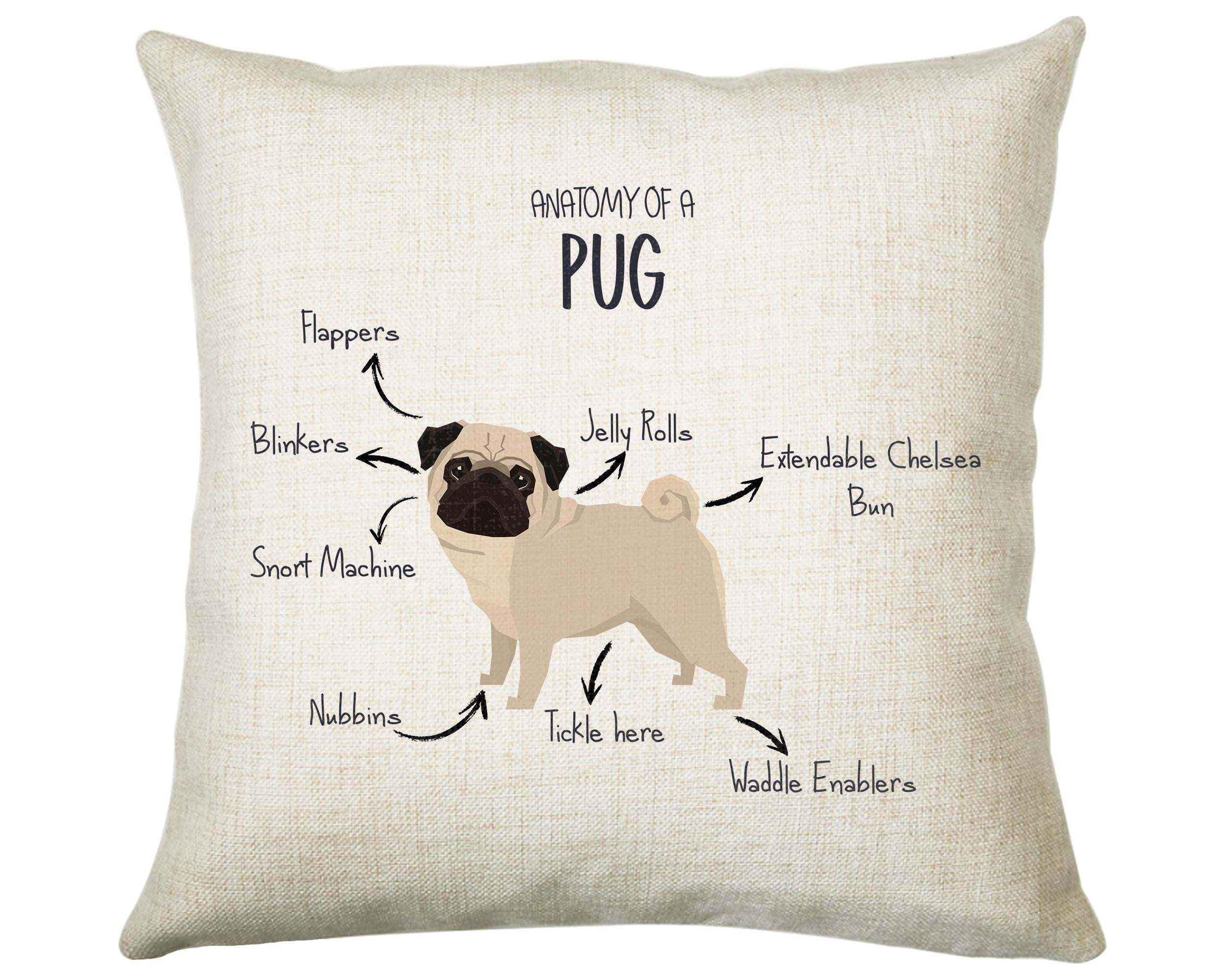 Anatomy of a Pug Funny Gift For Him Or Her Cushion Pillow Bedroom Decor CS409