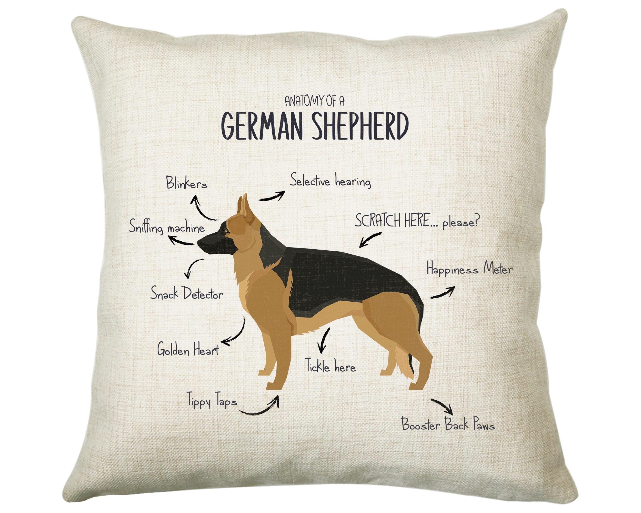 Anatomy of a German Shepherd Funny Gift For Him Or Her Cushion Pillow Bedroom Decor CS408