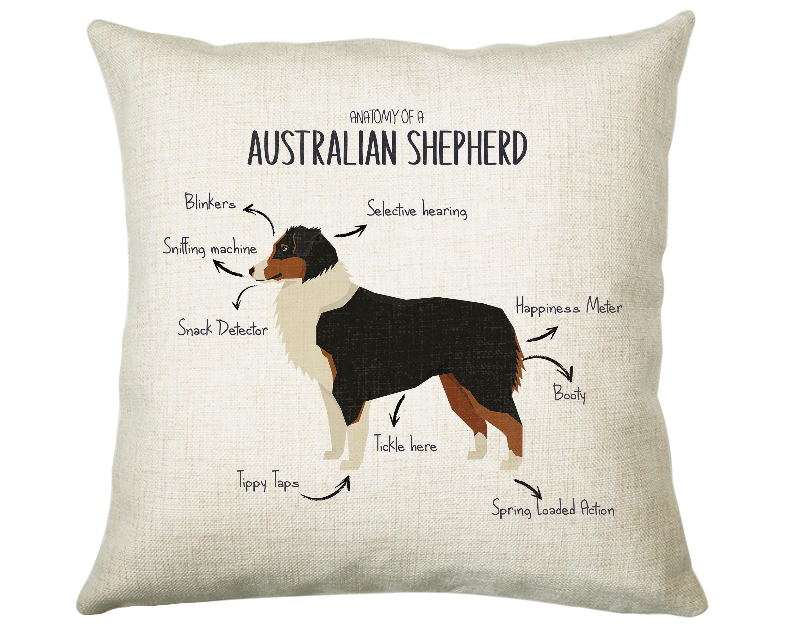 Anatomy of a Australian Shepherd Funny Gift For Him Or Her Cushion Pillow Bedroom Decor CS379