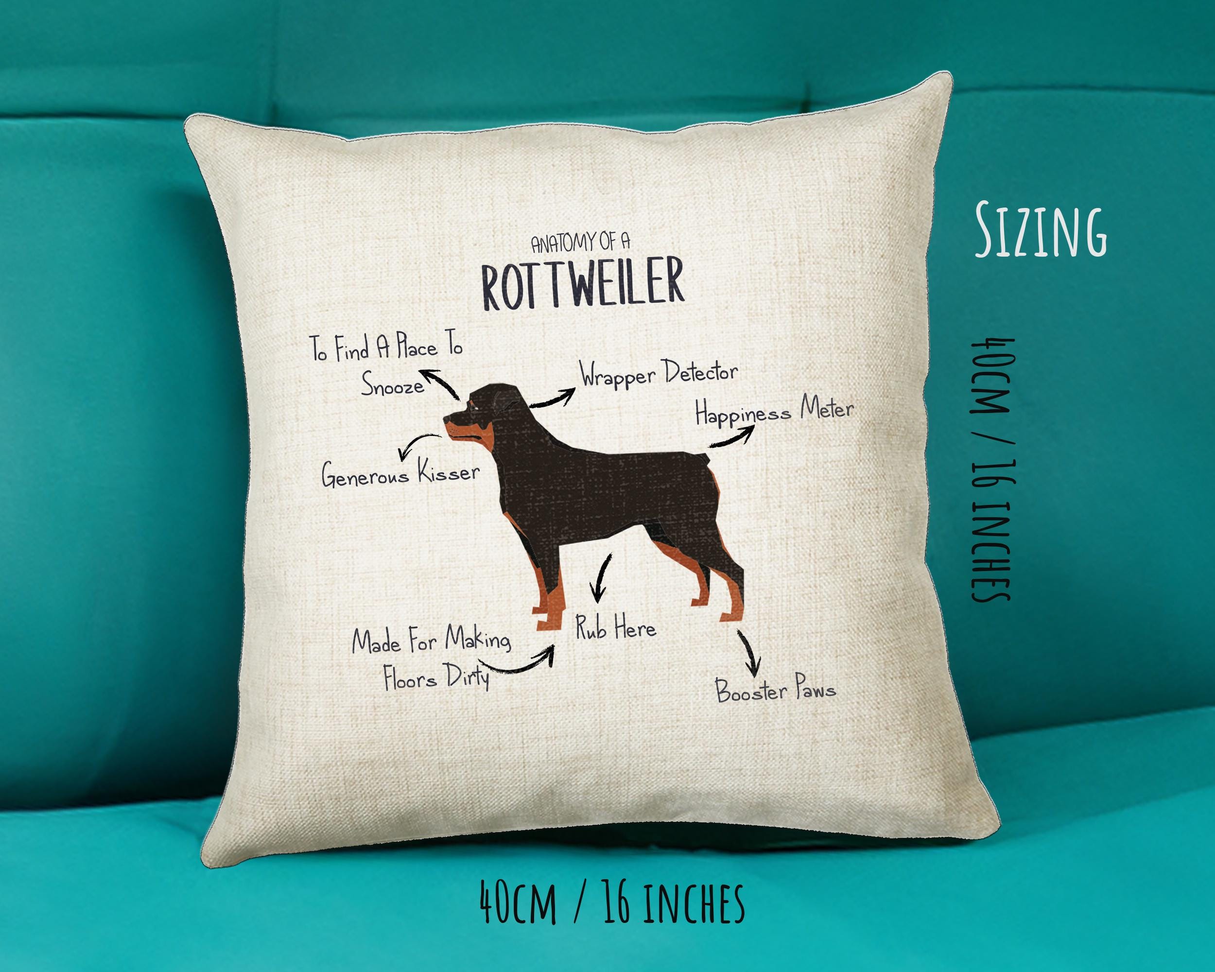 Anatomy of a Rottweiler Funny Gift For Him Or Her Cushion Pillow Bedroom Decor STC0090