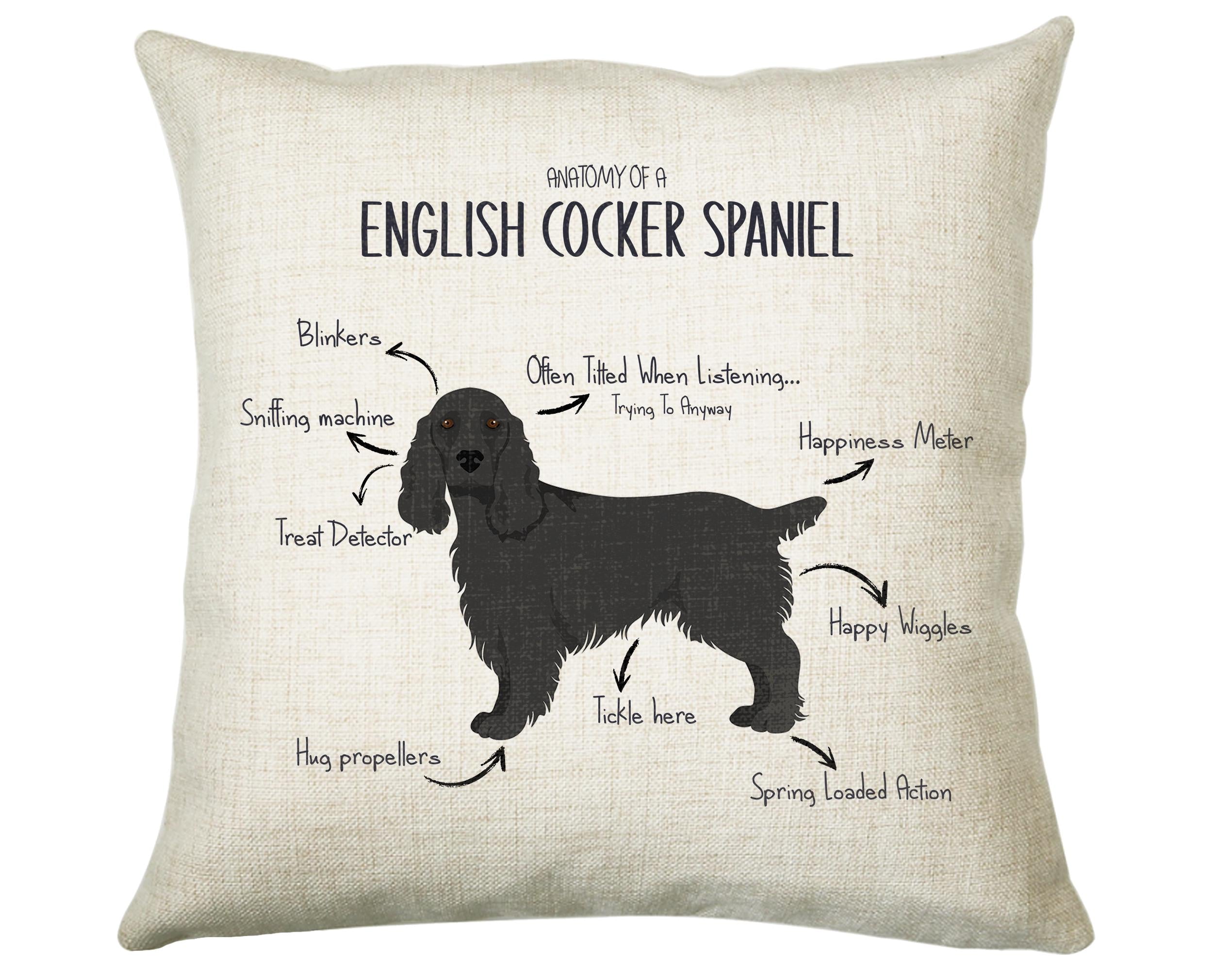 Anatomy of a English Cocker Spaniel Funny Gift For Him Or Her Cushion Pillow Bedroom Decor CS457