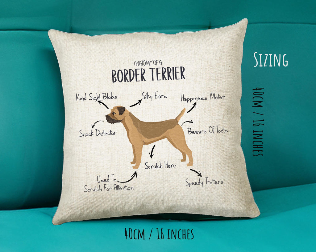 Anatomy of a Border Terrier Funny Gift For Him Or Her Cushion Pillow Bedroom Decor STC0092