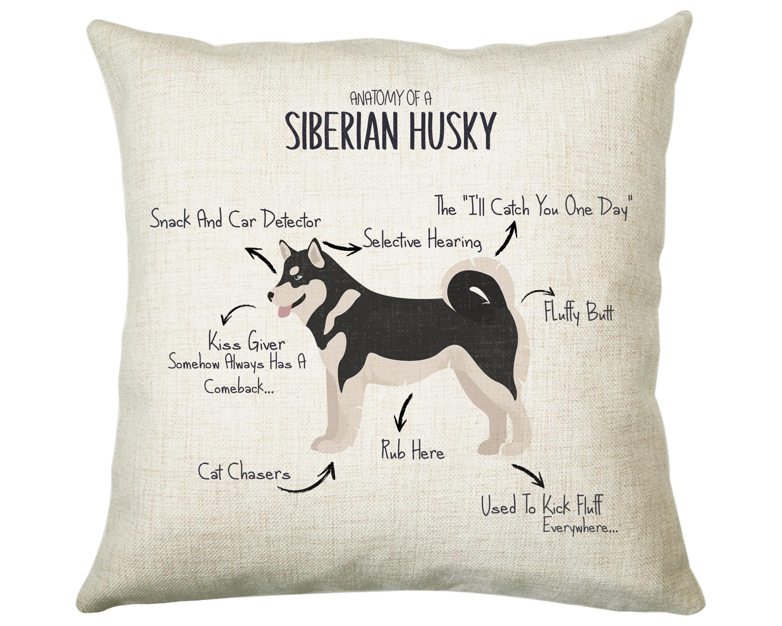 Anatomy of a Siberian Husky Funny Gift For Him Or Her Cushion Pillow Bedroom Decor STC0093